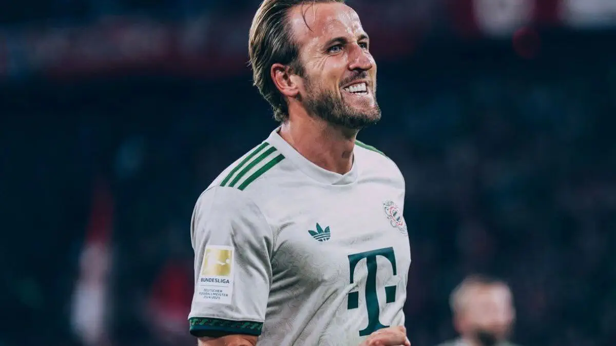 Mazali eshaklarning anal porno chochqachilik banki