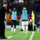 Konseysau Belgiya milliy jamoasini boshqarishi mumkin