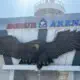 Superliga. «Andijon» — «Xorazm». Live (video)